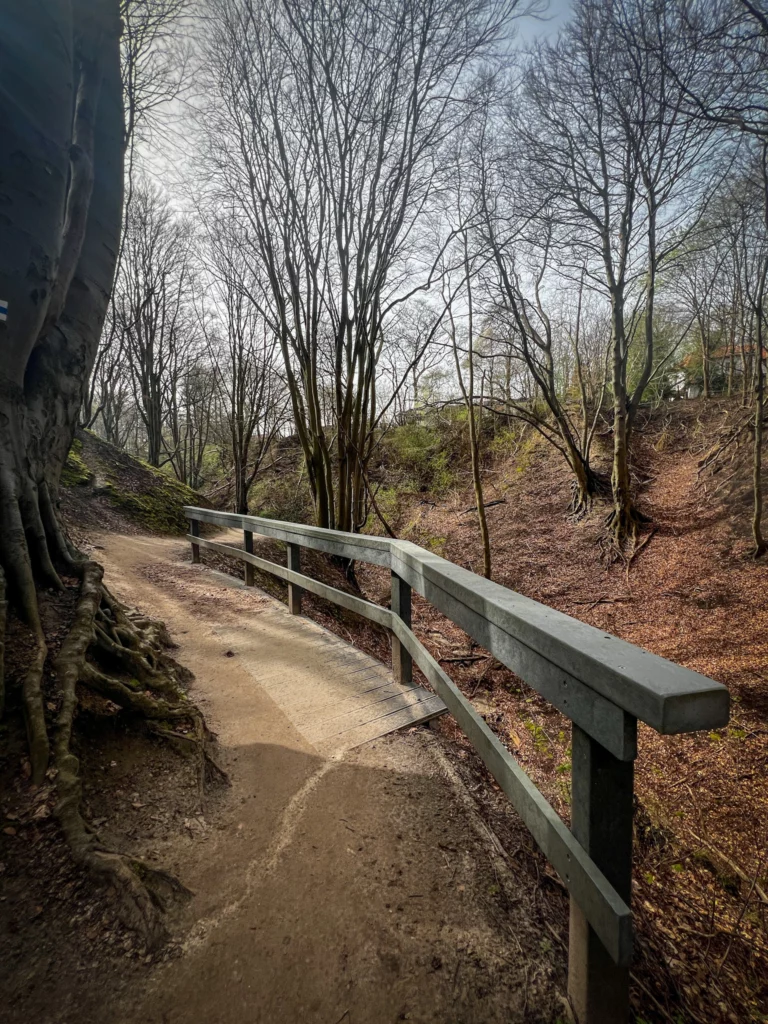 ścieżki do spacerowania