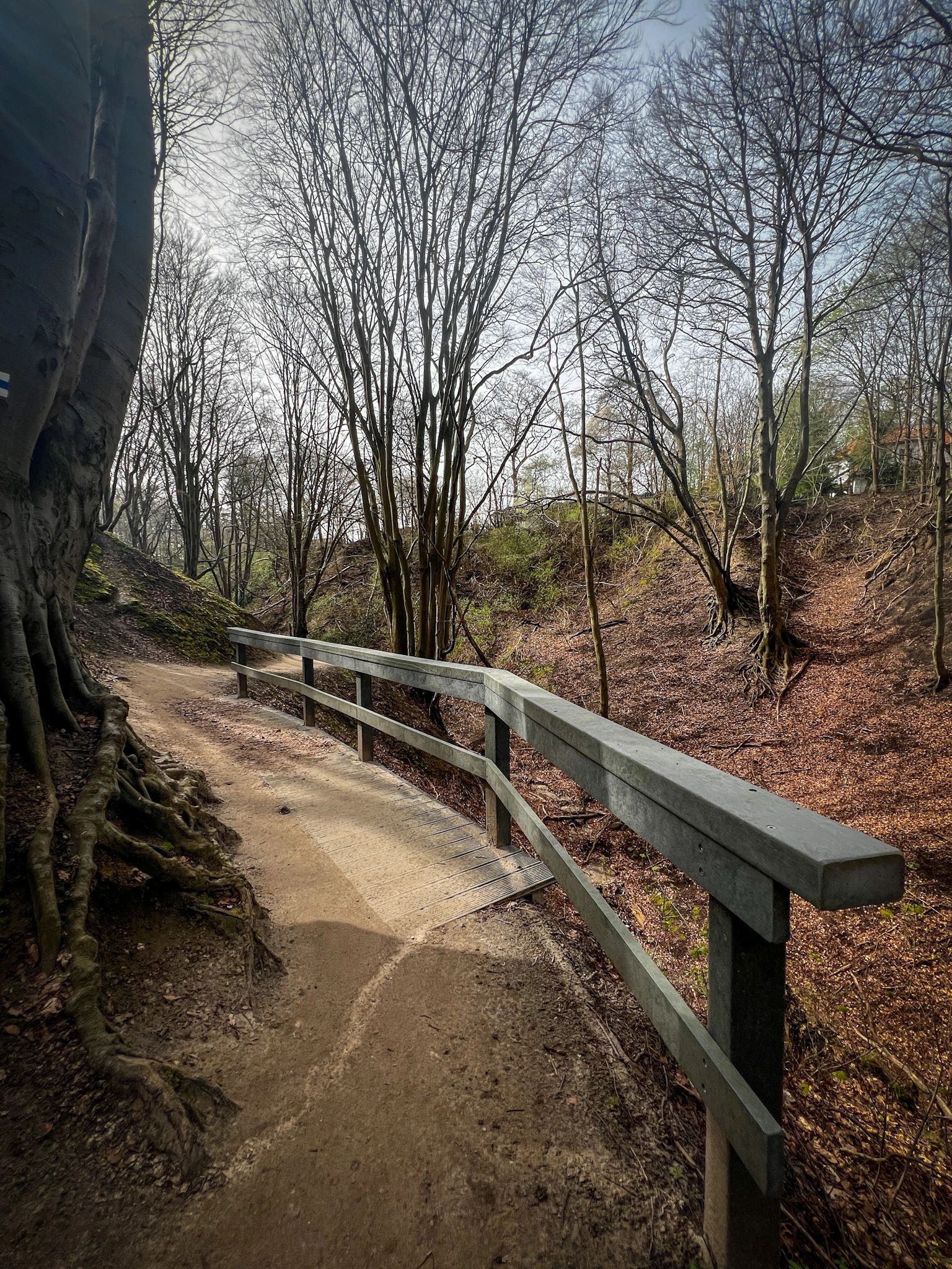 ścieżki do spacerowania