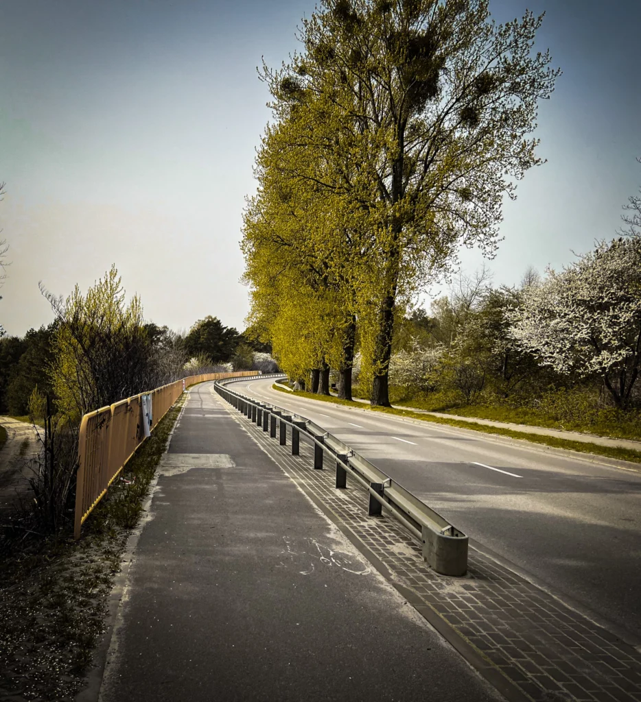 droga w jastrzębiej górze