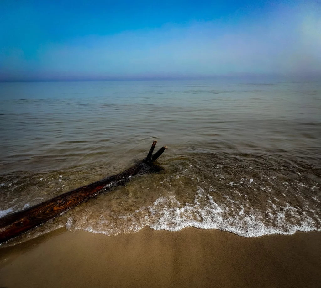 konad w wodzie morza bałtyckiego